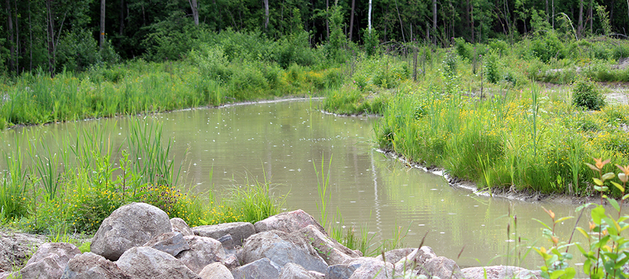 ympäristötarinat - ympäristölupaukset